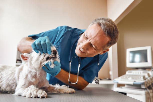 Best Emergency Tooth Extraction in Gordonsville, TN